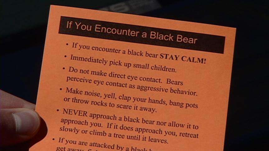 DWR Stands Behind Procedure in Bear Attack Tragedy