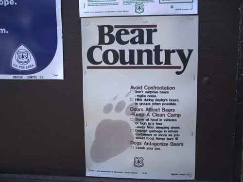 DWR Says Bear Encounters Aren't Uncommon 