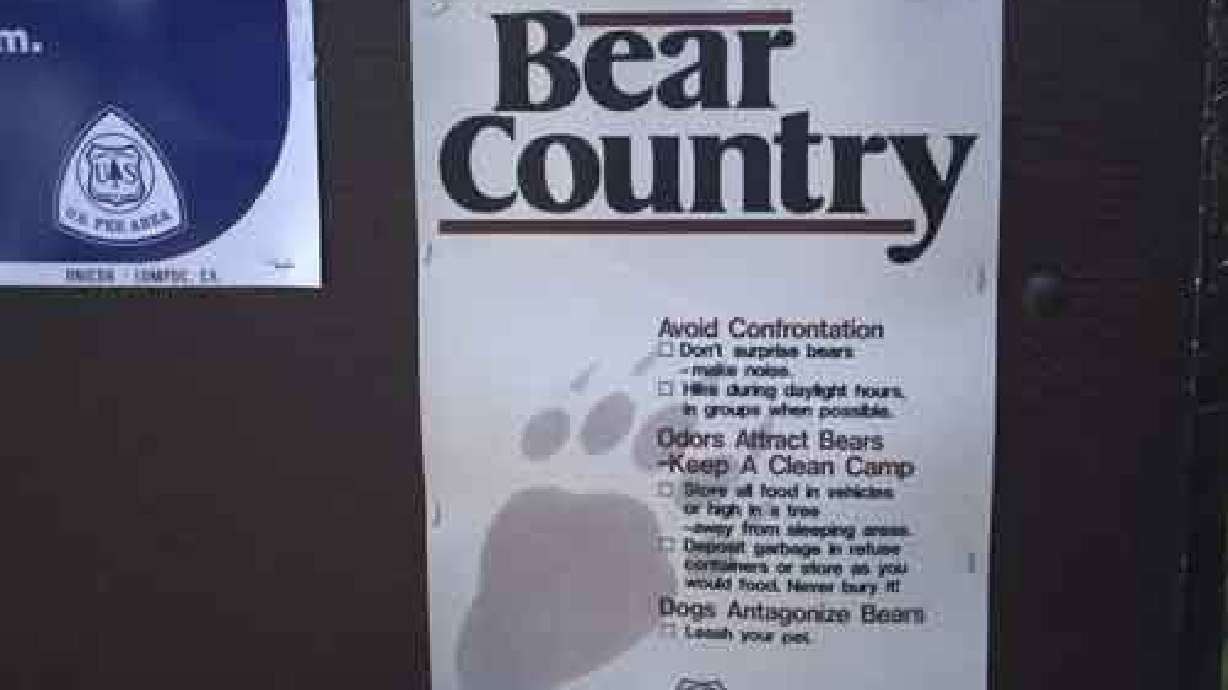 DWR Says Bear Encounters Aren't Uncommon