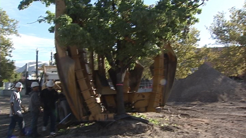Trolley Square saves trees as it expands the mall