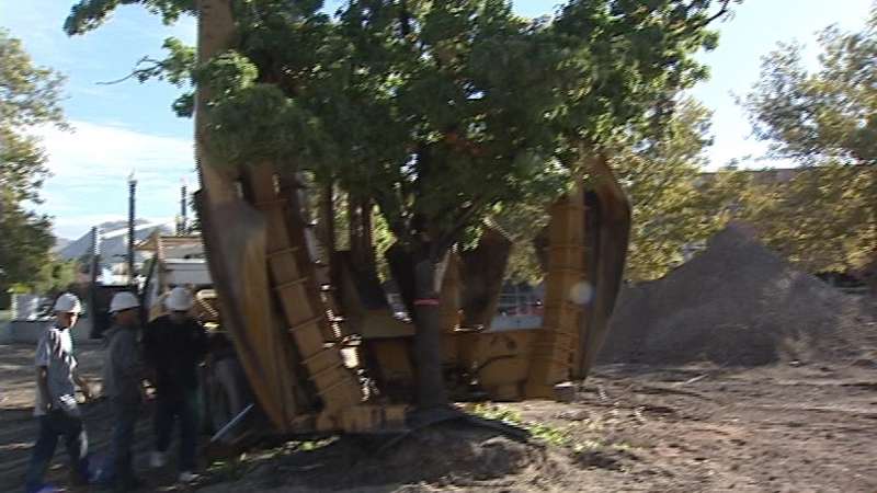 Trolley Square saves trees as it expands the mall