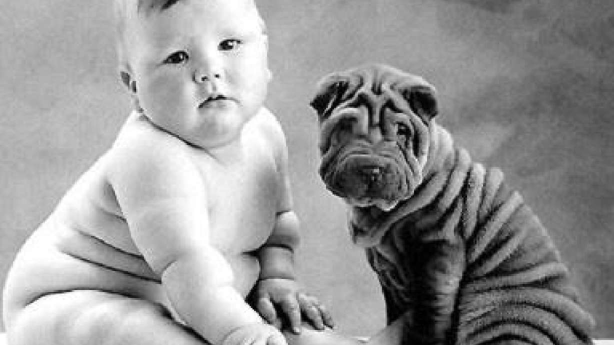 Fat Babies Now Covered