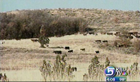 Land Conservation Project Keeping Ranchers on Land