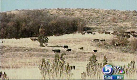 Land Conservation Project Keeping Ranchers on Land