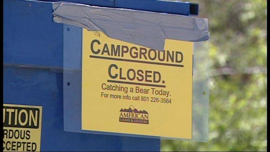 Campgrounds Closed Over Concern of Bears in the Area
