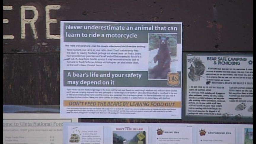 Campgrounds Closed Over Concern of Bears in the Area