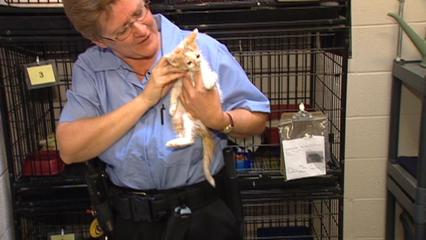 Tooele City Cracking Down on Pet Restriction