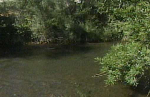 Men Rescue Woman from Ogden River