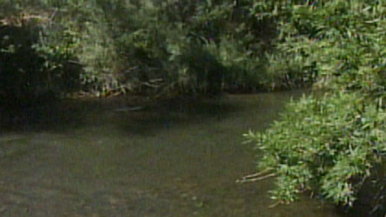 Men Rescue Woman from Ogden River