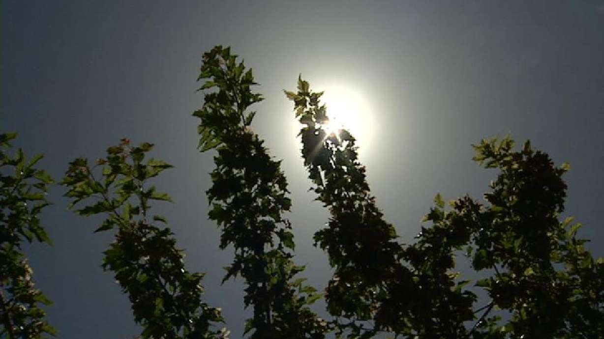 Keeping Cool During the Hot Summer Months