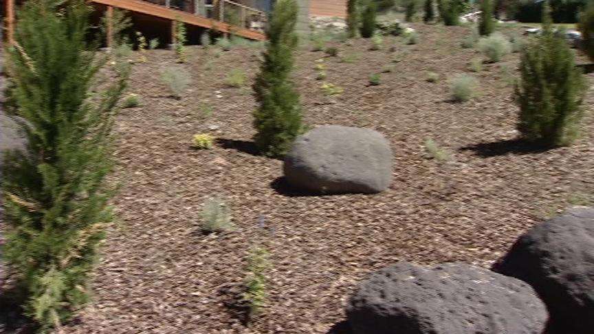 Water Managers and Water Watchdogs Urging Conservation