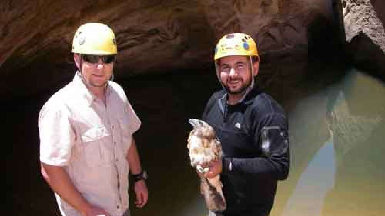 Two Men Rescue a Hawk in Southern Utah