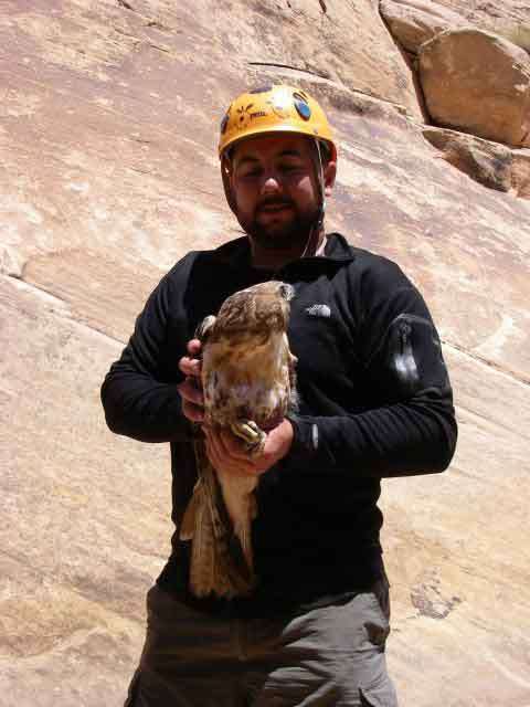 Courtesy Greg Neft, KSL Newsradio