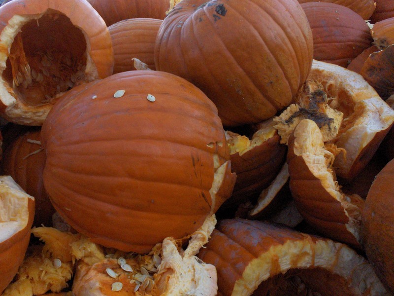 Team claims record-breaking pumpkin launch in Utah