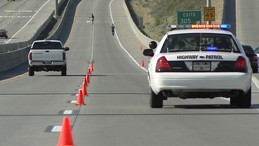 Teen Dies in Freeway Shooting