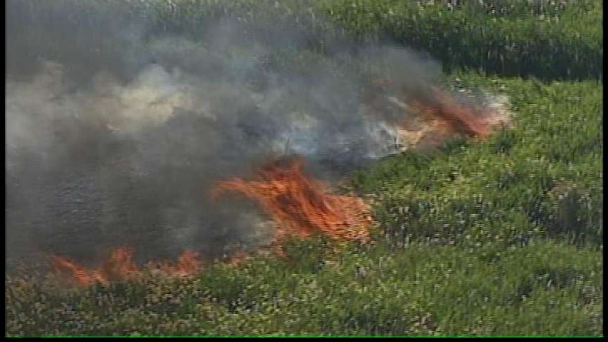 Firefighters Hope to Contain Mercer Canyon Fire Tonight