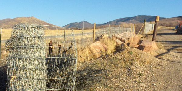 Stimulus project aimed at reducing roadkill