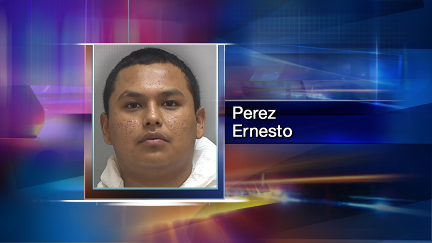 18-year-old facing several charges following domestic dispute