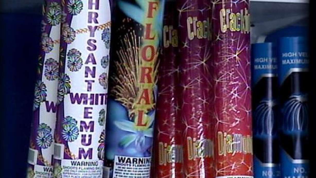 Family Urges People to Leave Fireworks to the Pros