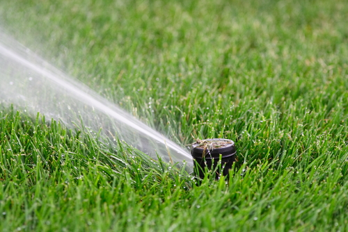 Orem considers changes to landscaping rules