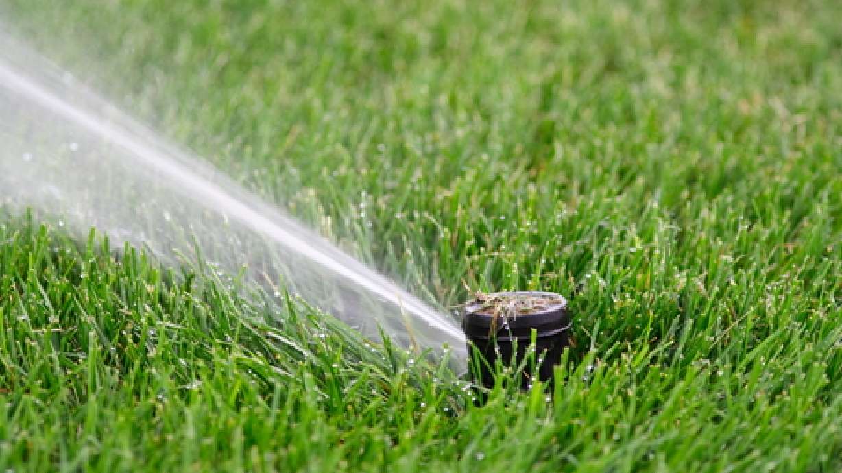 DEQ urges reduced lawn watering