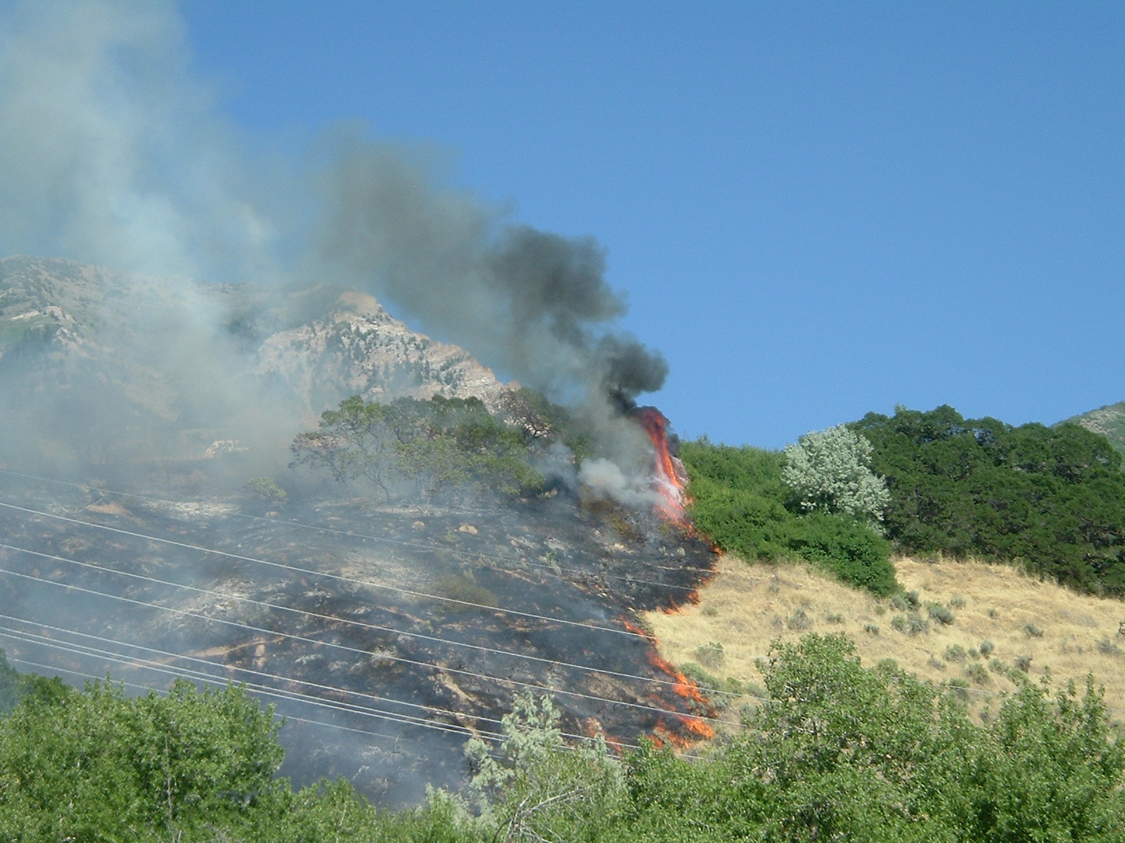 Provo Canyon Grass Fire 50 Percent Contained