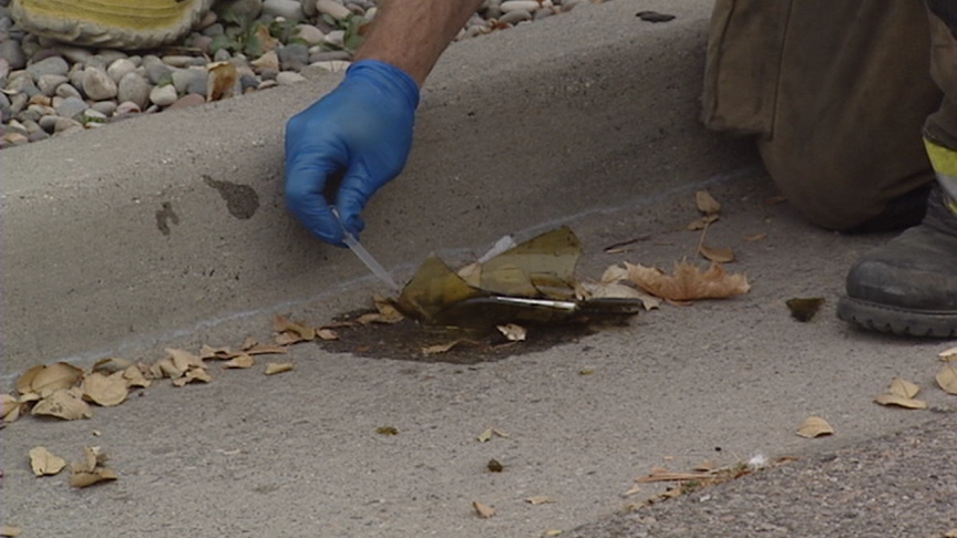 Possible Molotov cocktails found near Salt Lake synagogue