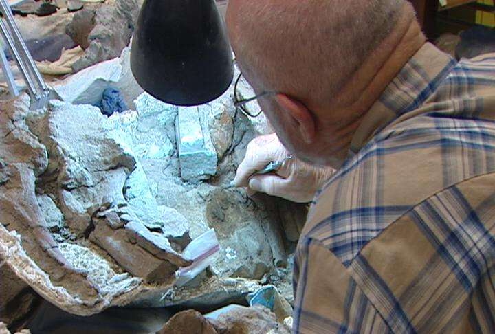 Paleontologist offers new lessons to be learned from dinosaurs