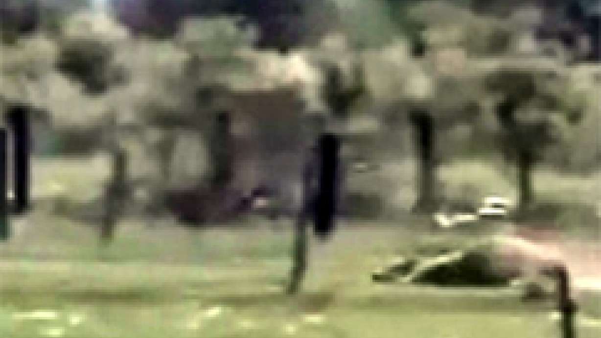 Video Shows Cow Being Dragged by Van