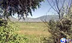 Video Shows Cow Being Dragged by Van