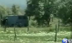 Video Shows Cow Being Dragged by Van