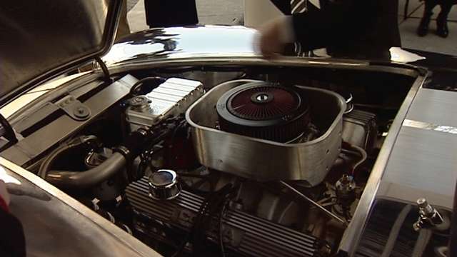 Festival of Trees prepares to kick-off with unusual entry