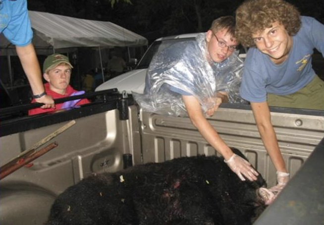 Black Bear Bites Boy Scout