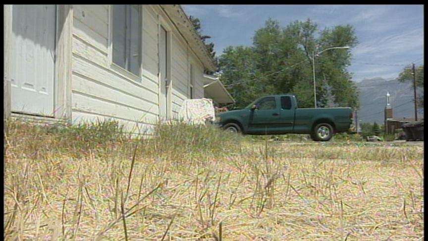 Woman Arrested for Not Watering Lawn