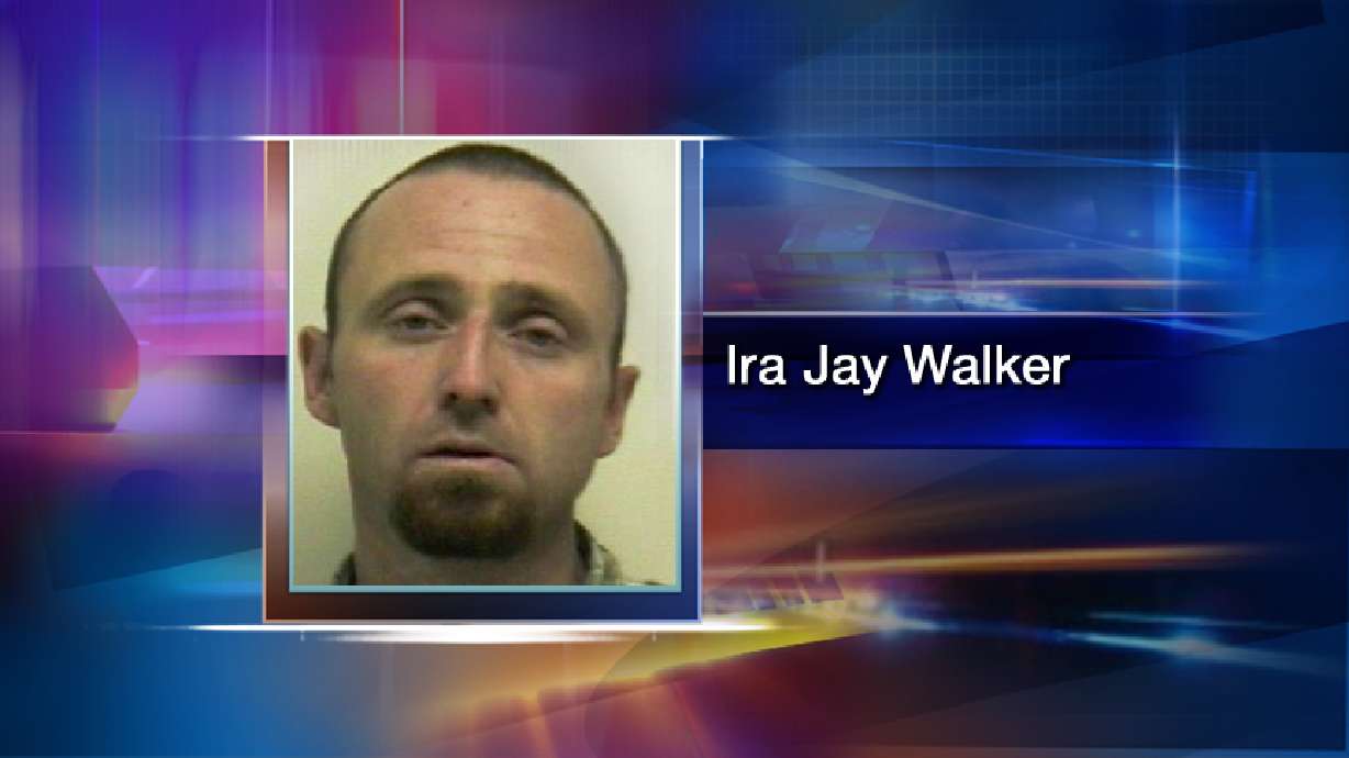 Traffic stop leads police to stolen vehicles, gun