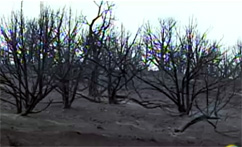 Huge Fire Closes Freeway, Forces Evacuations