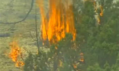 Utah's Largest Wildfire is 10 Percent Contained