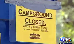 Campgrounds Closed Due to Bear Sighting