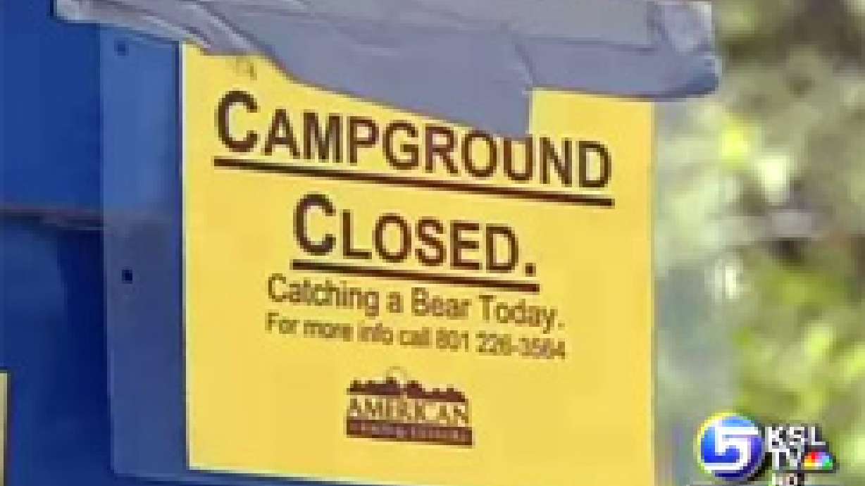 Campgrounds Closed Due to Bear Sighting