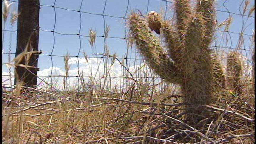 Researchers, Climate Panel Wrestle With Implications of Global Warming