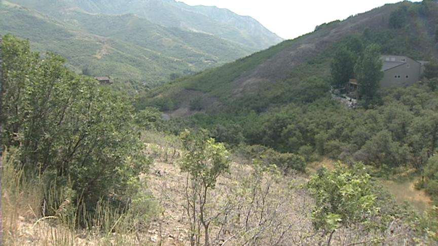 Homeowners Reduce Fire Danger Through Landscaping