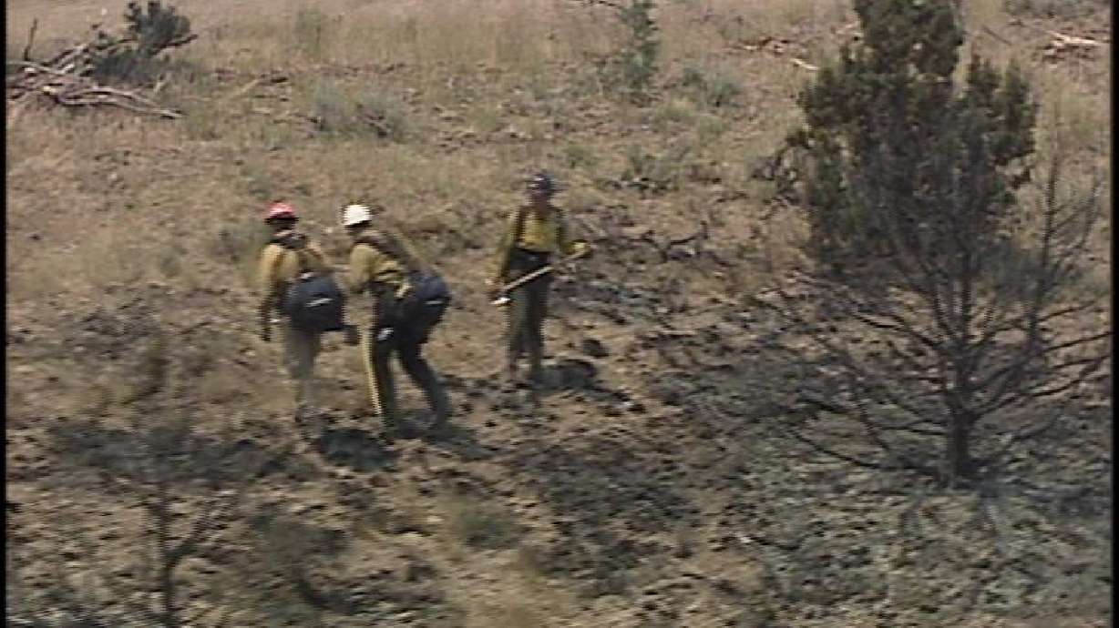 Money, Opportunity, Direction Draw Firefighters to the Job