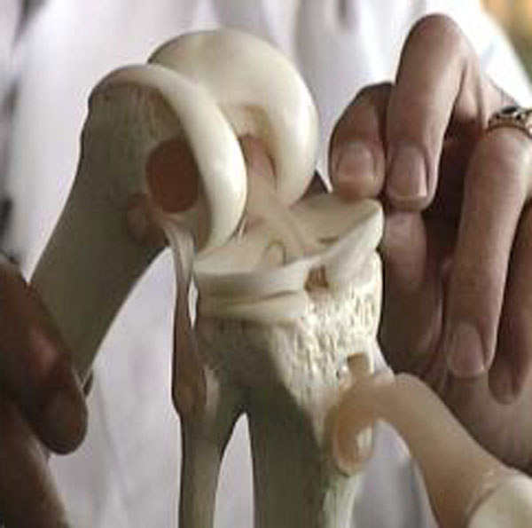 Medical implant helps patients regrow cartilage
