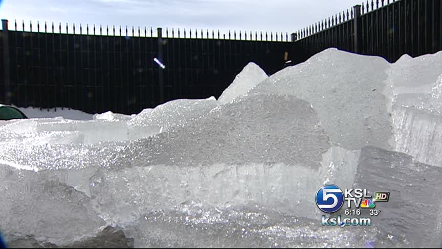 Group takes 'polar plunge' in Springville