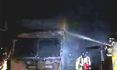 Firefighters Save Dog From Fire