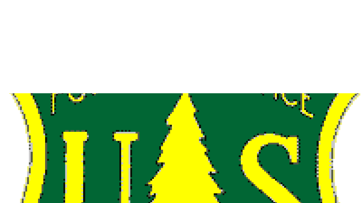 Riding ATV's in American Fork Canyon