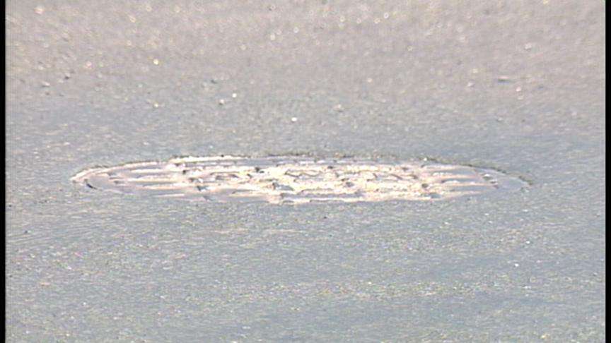 Man Dies in Skateboarding Accident