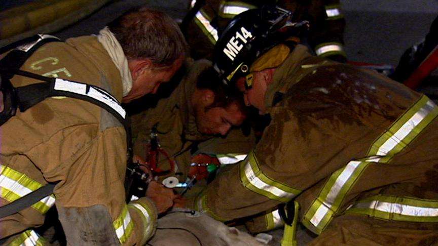 Firefighters Save Dog From Fire
