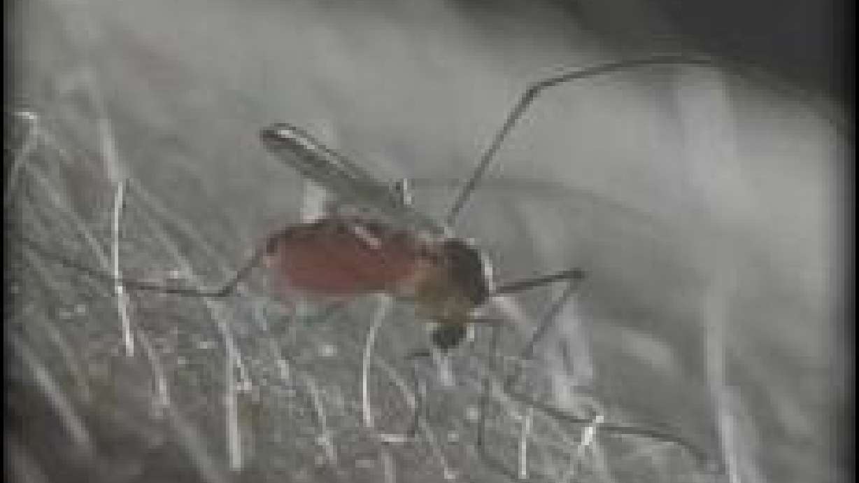 First Human Case of West Nile Virus Reported in Salt Lake County
