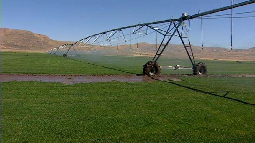 Sod Farm Shares Tips on How to Avoid Overwatering